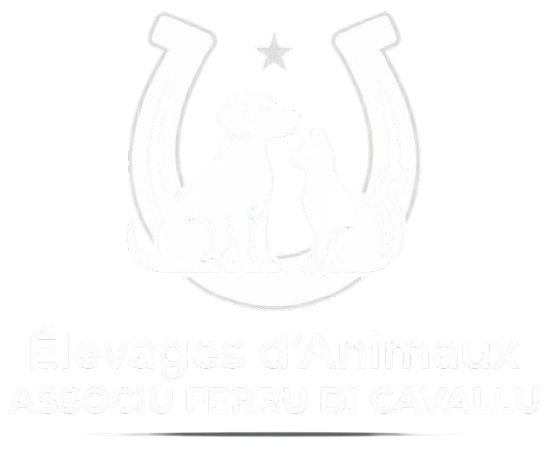 Chiots et chatons en bonne santé