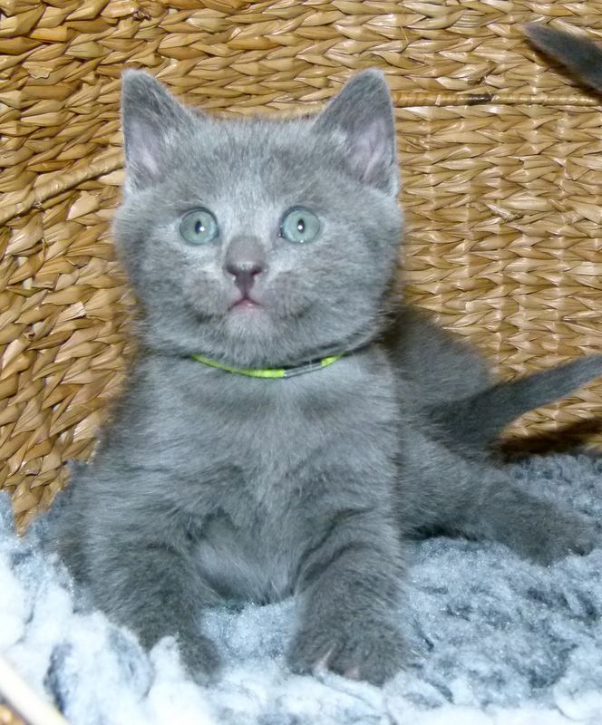 Bénito